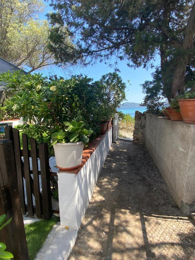 Willa La Casa Sull'Acqua Olbia Zewnętrze zdjęcie